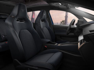 Cupra_Born_EV_Aurora_Blue_19