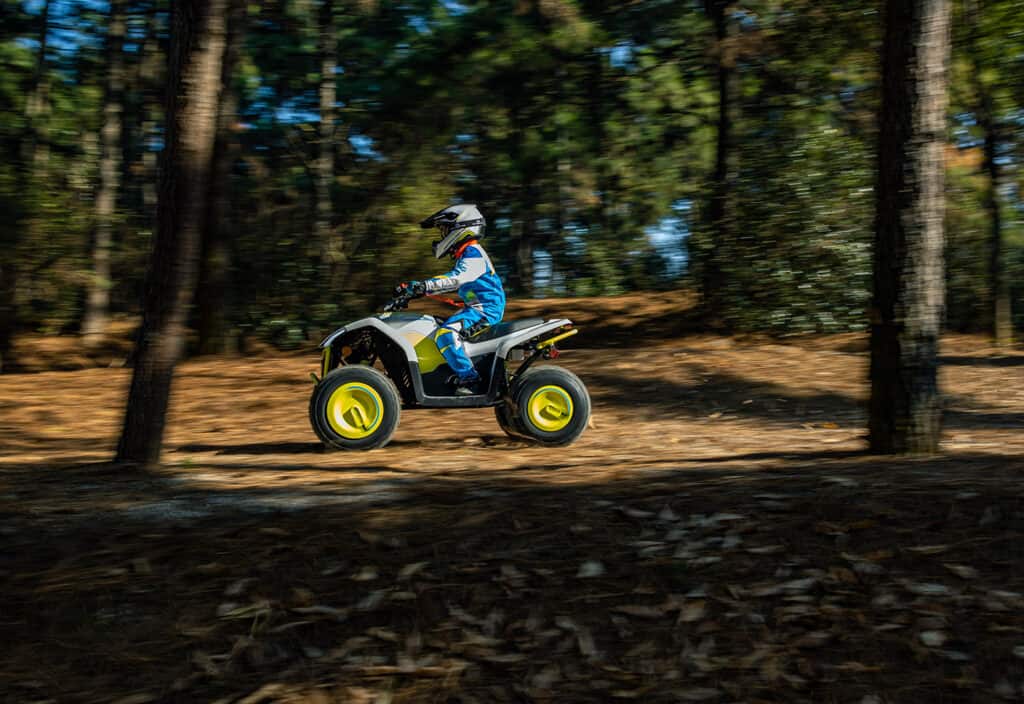 CFMoto_CForce_EV110_00002