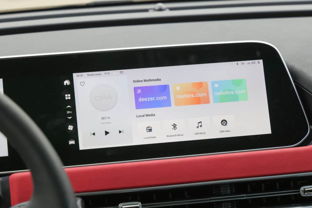 Ora_Funky_Cat_Israel_RT_00017