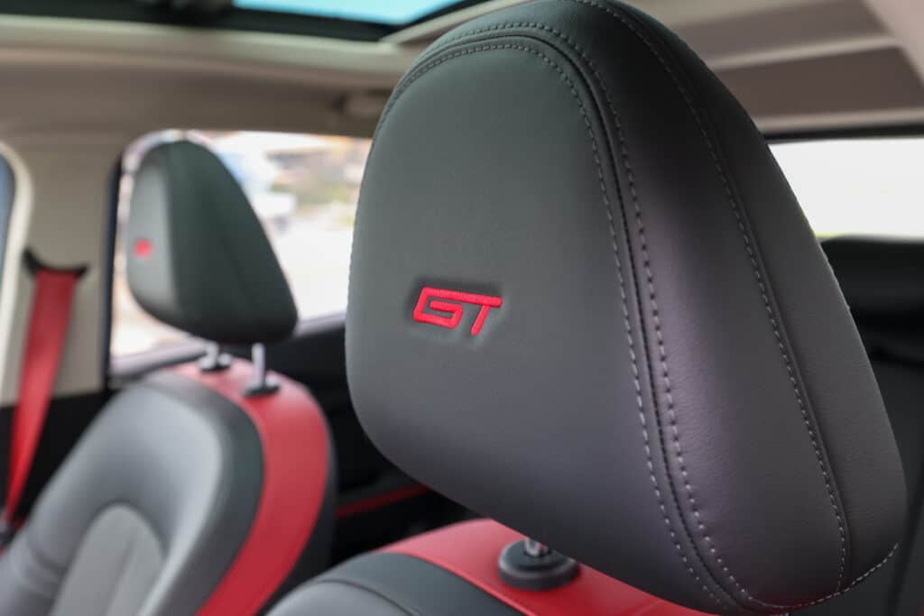 Ora_Funky_Cat_Israel_RT_00020