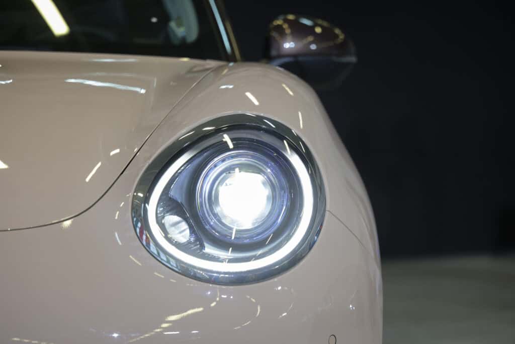 Ora_Funky_Cat_Israel_RT_00069