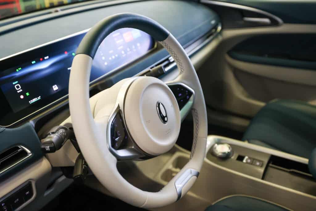 Ora_Funky_Cat_Israel_RT_00079