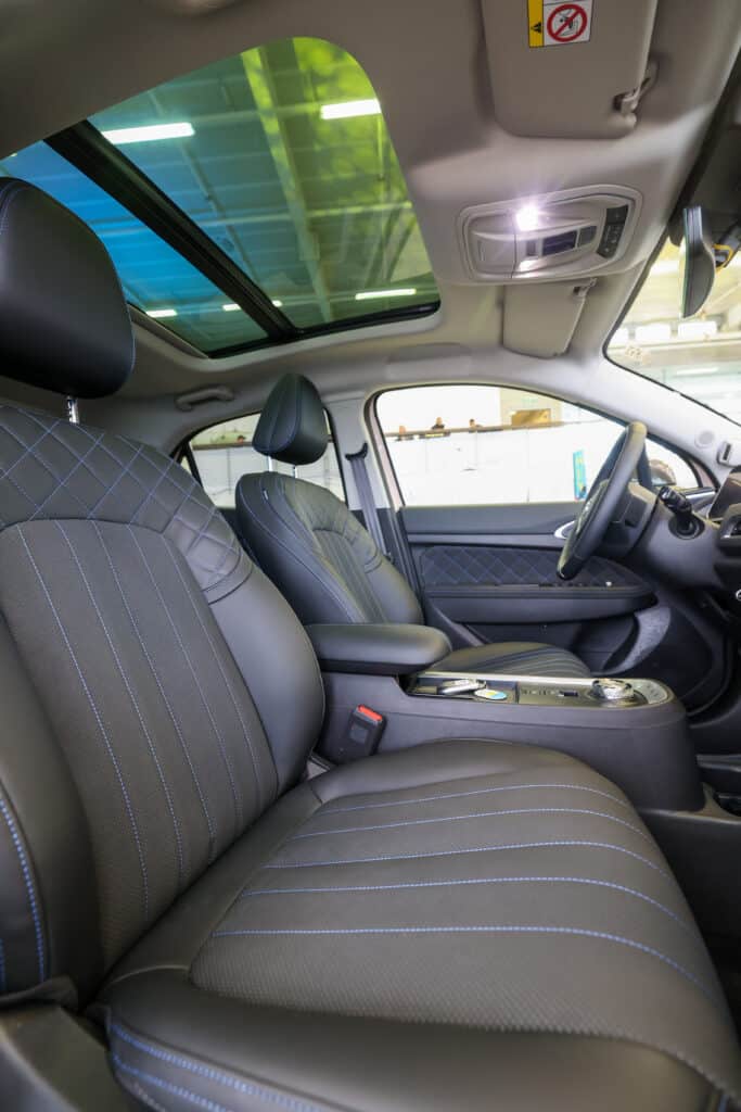 Ora_Funky_Cat_Israel_RT_00084