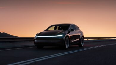 מבט קדמי על טסלה מודל Y שחורה עם הכיתוב Robotaxi עליה בנסיעה על כביש בשקיעה